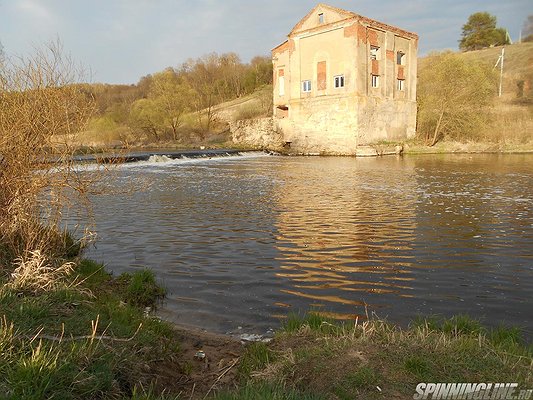 Изображение 1 : Конкурс. Родной край. Калужская область. Дальний Восток.