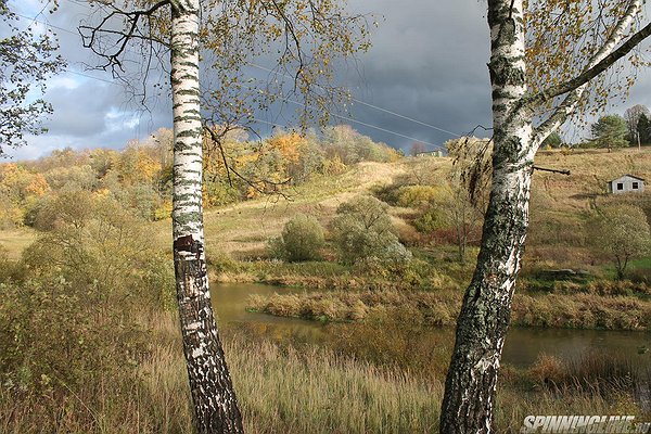 Изображение 1 : Конкурс. Родной край. Калужская область. Дальний Восток.