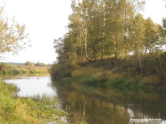 Изображение 1 : Конкурс. Родной край. Калужская область. Дальний Восток.