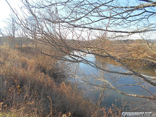 Изображение 1 : Конкурс. Родной край. Калужская область. Дальний Восток.