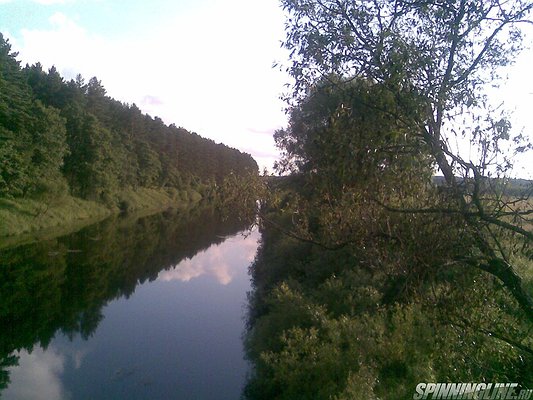 Изображение 1 : Конкурс. Родной край. Калужская область. Дальний Восток.