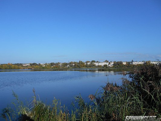 Изображение 1 : Конкурс. Родной край. Калужская область. Дальний Восток.