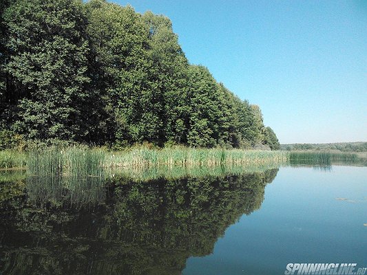 Изображение 1 : Конкурс. Родной край. Калужская область. Дальний Восток.