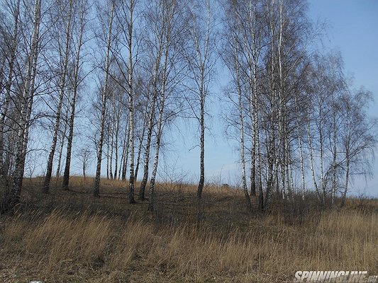 Изображение 1 : Конкурс. Родной край. Калужская область. Дальний Восток.