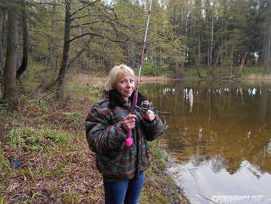 Изображение 1 : Конкурс. Родной край. Калужская область. Дальний Восток.