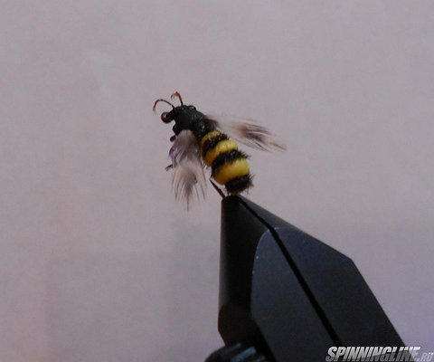 Изображение 1 : Рыбное пчеловодство:))))